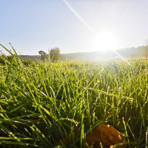 Impressionen Büchenwerra