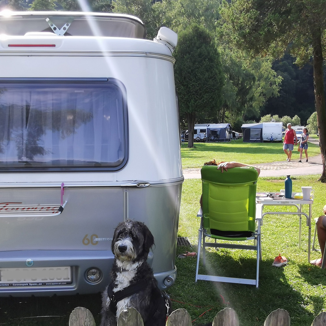 Campen mit Hund Campen mit Hund