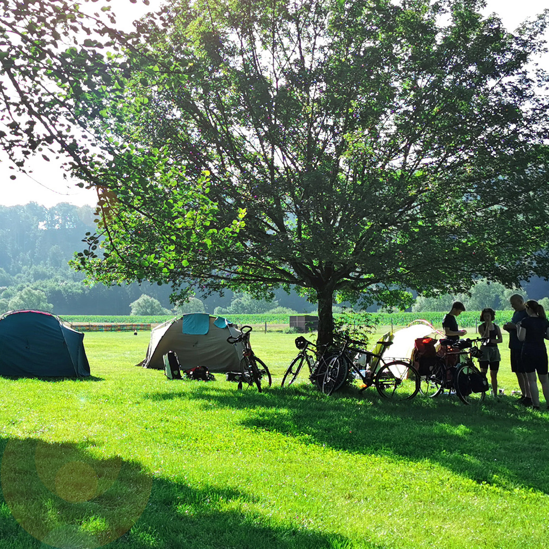 Zeltwiese Community Wiese Zeltwiese Community Wiese