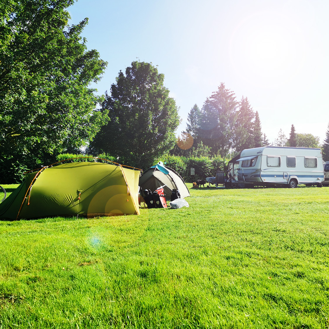 Community Wiese und Gespanne auf der großen Wiese Community Wiese und Gespanne auf der großen Wiese